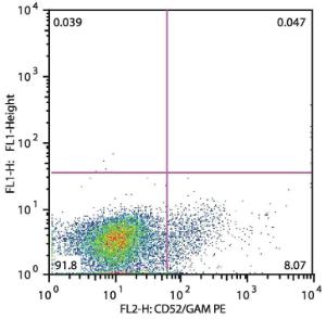 Flow cytometry analysis of CD52 in patients suffering with Acute Lymphoblastic Leukemia (Anti-CD52 Antibody (A85766). Detection by Goat Anti-Mouse IgG2b Antibody PE). CD52 positive cALL (gate leukemic cells)