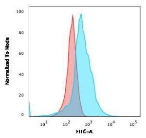 Flow cytometric analysis of PFA fixed MOLT4 cells using Anti-CD21 Antibody [CR2/2754] followed by Goat Anti-Mouse IgG (CF&#174; 488) (Blue). Isotype Control (Red)