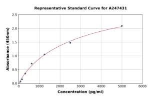 Representative standard curve for Human TMS1/ASC ELISA kit (A247431)