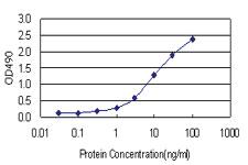 Anti-RGS3 Antibody Pair