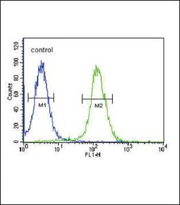 Anti-NPFF Rabbit Polyclonal Antibody (AP (Alkaline Phosphatase))