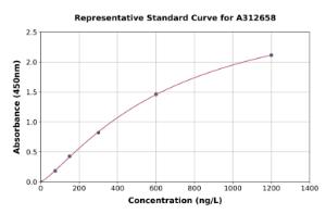 Representative standard curve for Human CD166 ELISA kit (A312658)