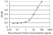 Anti-MS4A15 Mouse Monoclonal Antibody [clone: 1D4]