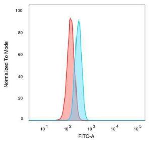 Flow cytometric analysis of PFA-fixed HeLa cells using Anti-Bcl-6 Antibody [PCRP-BCL6-1E2] followed by Goat Anti-Mouse IgG (CF&#174; 488) (Blue). Unstained cells (Red).