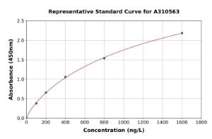 Representative standard curve for Human CaMKII beta ELISA kit (A310563)