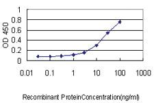 Anti-CCT5 Mouse Monoclonal Antibody [clone: 4E5-4B1]