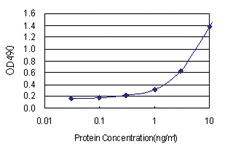 Anti-RGS3 Polyclonal Antibody Pair