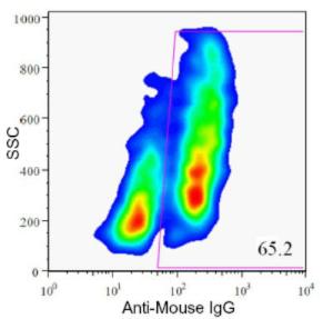 Anti-HPi1 Mouse Monoclonal Antibody [clone: HIC0-4F9]