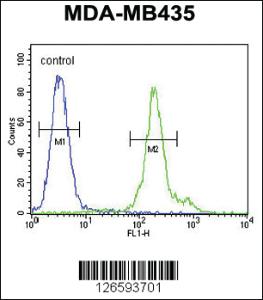 Anti-FBXL14 Rabbit Polyclonal Antibody