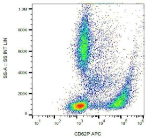 Surface staining of human peripheral blood with Anti-CD62P Antibody (A85786)