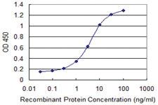 Anti-GPR161 Mouse Monoclonal Antibody [clone: 1B2]