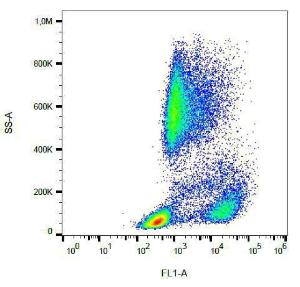 Surface staining of human peripheral blood with Anti-CD62P Antibody (A85792)