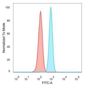 Flow cytometric analysis of PFA-fixed HeLa cells using Anti-PMS1 Antibody [PCRP-PMS1-2E11] followed by Goat Anti-Mouse IgG (CF&#174; 488) (Blue) Isotype Control (Red)