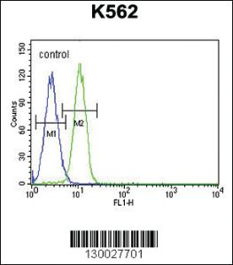 Anti-G6PC Rabbit Polyclonal Antibody