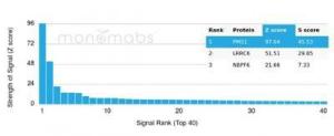 Analysis of protein array containing more than 19,000 full-length human proteins using Anti-PMS1 Antibody [PCRP-PMS1-2E11] Z-Score and S- Score