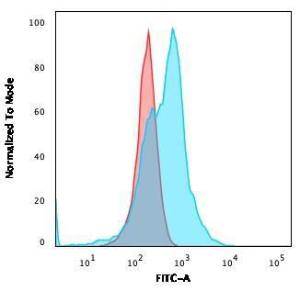 Antibody anti-CD21 CR23124R 100 µg