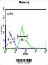 Anti-CORO6 Rabbit Polyclonal Antibody (HRP (Horseradish Peroxidase))