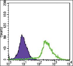 Anti-MAPK1 Mouse Monoclonal Antibody [clone: 3F8]