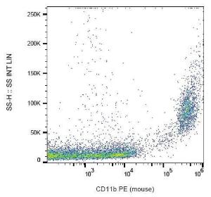 Surface staining of CD11b in murine peritoneal fluid with Anti-CD11b Antibody (A85797)