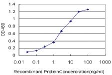 Anti-CXCL8 Mouse Monoclonal Antibody [clone: 5B9]