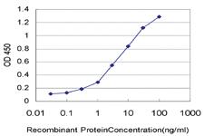 Anti-CXCL8 Mouse Monoclonal Antibody [clone: 1E9]