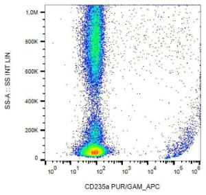 Antibody anti-glycophorin A HIR2 100 µg