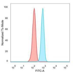 Flow cytometric analysis of PFA fixed HeLa cells using Anti-RXRB Antibody [PCRP-RXRB-2B6] followed by Goat Anti-Mouse IgG (CFand#174; 488) (Blue). Unstained cells (red)