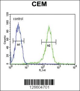 Anti-HAUS5 Rabbit Polyclonal Antibody