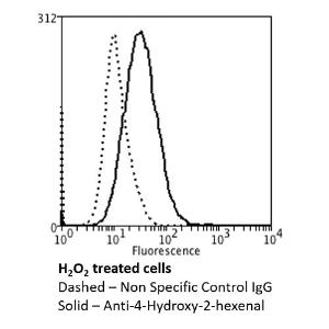 Anti-4-Hydroxy-2-hexenal antibody