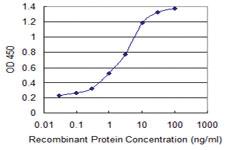 Anti-JMJD1C Mouse Monoclonal Antibody [clone: 3A8]