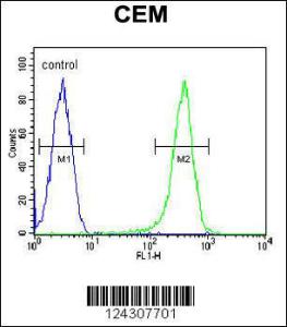 Anti-COX10 Rabbit Polyclonal Antibody (APC (Allophycocyanin))