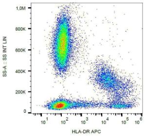 Surface staining of human peripheral blood cells with Anti-HLA DR Antibody (A85807)