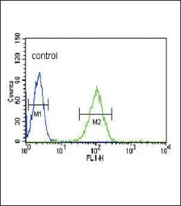 Anti-NOS3 Rabbit Polyclonal Antibody (HRP (Horseradish Peroxidase))