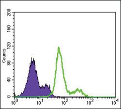 Anti-PDPK1 Mouse Monoclonal Antibody [clone: 4A11]