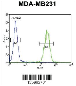 Anti-IL36A Rabbit Polyclonal Antibody