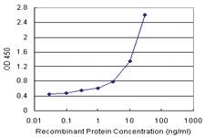 Anti-TNFRSF14 Antibody Pair