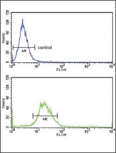 Anti-EXT2 Rabbit Polyclonal Antibody (PE (Phycoerythrin))