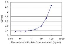 Anti-TNFRSF14 Antibody Pair