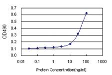 Anti-FGD3 Antibody Pair