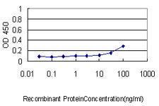 Anti-ENO1 Mouse monoclonal antibody [clone: 8G8]