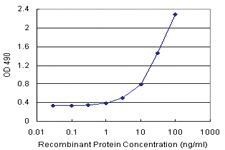 Anti-TNFRSF14 Polyclonal Antibody Pair