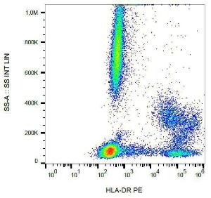 Surface staining of human peripheral blood cells with Anti-HLA DR Antibody (A85811).