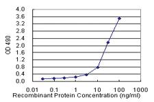 Anti-TNFRSF14 Mouse Monoclonal Antibody (Biotin)