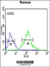 Anti-FOXP1 Rabbit Polyclonal Antibody (HRP (Horseradish Peroxidase))