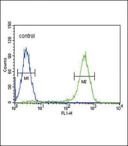 Anti-SLC10A1 Rabbit Polyclonal Antibody (AP (Alkaline Phosphatase))