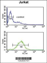 Anti-MFRN2 Rabbit Polyclonal Antibody