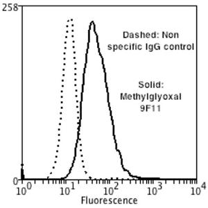 Flow cytometry analysis of human neuroblastoma cells (SH-SY5Y), fixed in 90% methanol, using Anti-Methylglyoxal Antibody [9F11] (A304732) at 1:50 for 30 minutes on ic