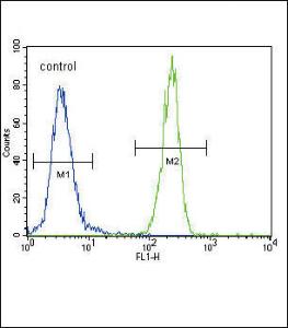 Anti-FOXP3 Rabbit Polyclonal Antibody (APC (Allophycocyanin))