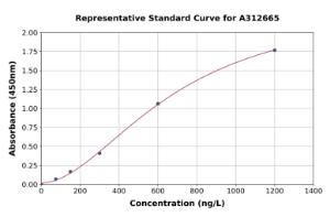 Representative standard curve for Human Cyclin T1 ELISA kit (A312665)