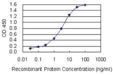 Anti-CD72 Mouse Monoclonal Antibody [clone: 4D10]